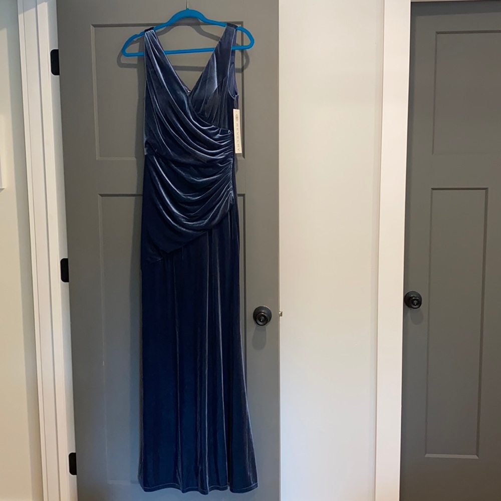 Revelry Dawson Velvet dress